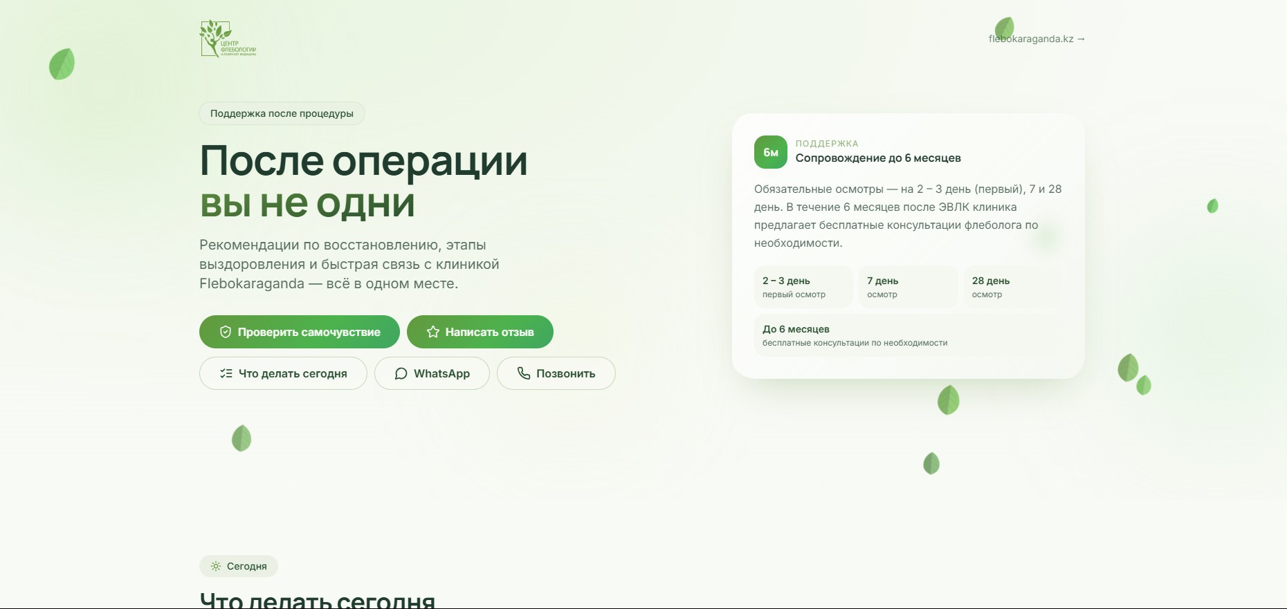 Проект Страница рекомендаций: Центр флебологии Караганды