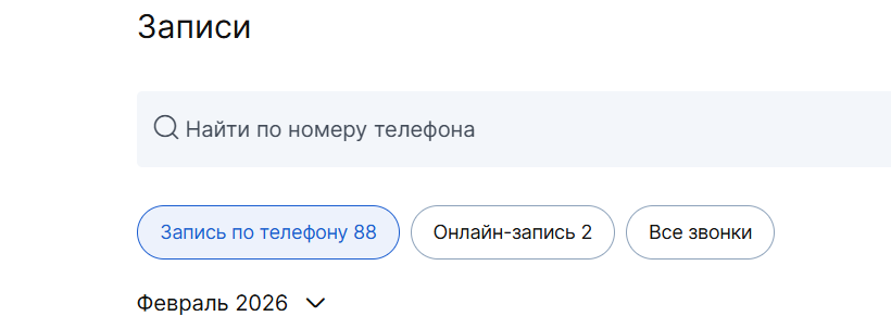 Записи · февраль 2026: 88 по телефону + 2 онлайн-записи